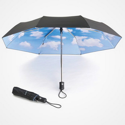Sky Umbrella.jpg